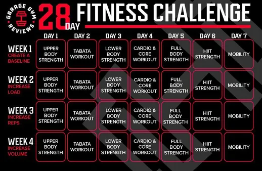 Exercises Included in the 28-Day Calisthenics Challenge